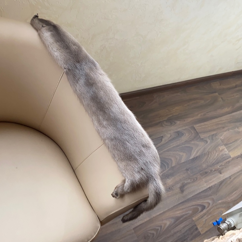 new mink skin gray